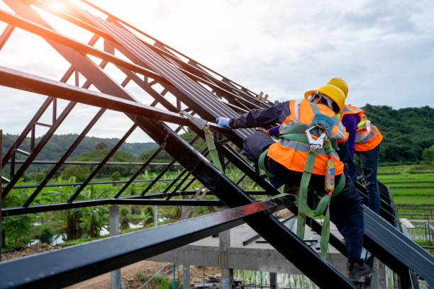 Best Roof Gutter Cleaning  in Garden City, MO